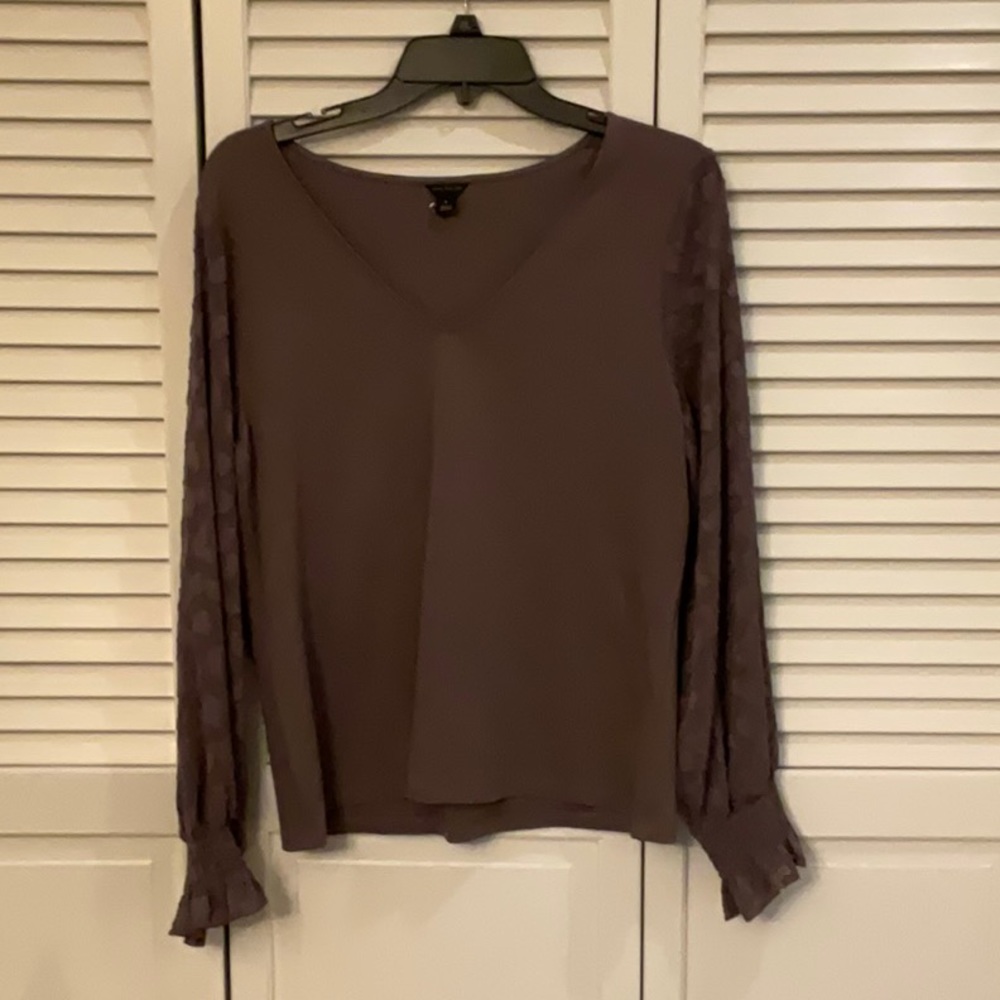 Ann Taylor Brown Blouse with Sheer Sleeves